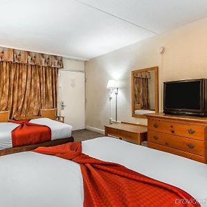 Chambre Standarde